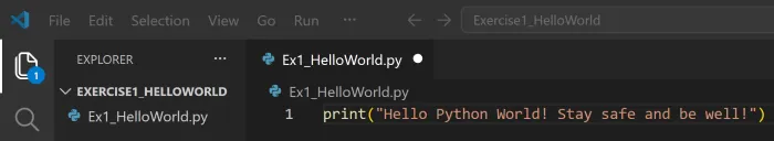 VS Code editor with a new Python file open and code being entered in the editor pane